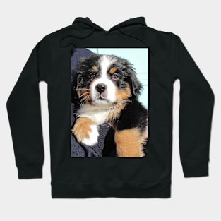 Baby Maxwell Hoodie